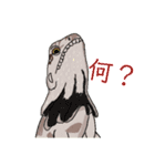 爬虫類両生類好きのためのスタンプ（個別スタンプ：9）