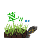 爬虫類両生類好きのためのスタンプ（個別スタンプ：15）