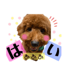 チョココレ04（個別スタンプ：3）