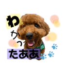 チョココレ04（個別スタンプ：4）