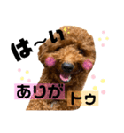 チョココレ04（個別スタンプ：8）