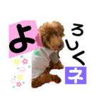 チョココレ04（個別スタンプ：10）