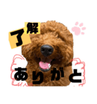チョココレ04（個別スタンプ：20）