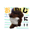 チョココレ04（個別スタンプ：23）