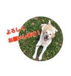 さくらぶスタンプ（個別スタンプ：14）