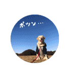 さくらぶスタンプ（個別スタンプ：22）