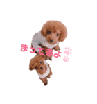 ののとベル（個別スタンプ：2）