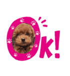 ののとベル（個別スタンプ：4）