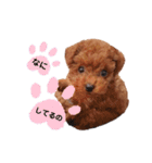 ののとベル（個別スタンプ：13）