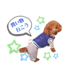 ののとベル（個別スタンプ：15）