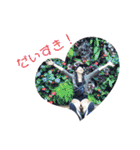 Rino dayo❤️（個別スタンプ：1）