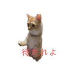 みりんスタンプ1（個別スタンプ：4）