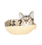 あいかなさん家の動物達（個別スタンプ：4）