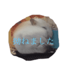 あいかなさん家の動物達（個別スタンプ：6）