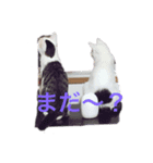 あいかなさん家の動物達（個別スタンプ：7）