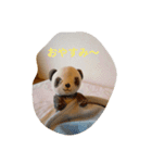パンダのまいにち（個別スタンプ：14）