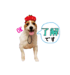 ♡♡おしゃま琳ちゃん♡♡part 2（個別スタンプ：3）