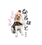 ♡♡おしゃま琳ちゃん♡♡part 2（個別スタンプ：5）