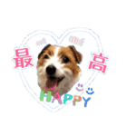♡♡おしゃま琳ちゃん♡♡part 2（個別スタンプ：6）