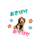 ♡♡おしゃま琳ちゃん♡♡part 2（個別スタンプ：11）