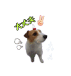 ♡♡おしゃま琳ちゃん♡♡part 2（個別スタンプ：13）