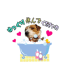 ♡♡おしゃま琳ちゃん♡♡part 2（個別スタンプ：17）