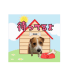 ♡♡おしゃま琳ちゃん♡♡part 2（個別スタンプ：24）