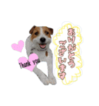 ♡♡おしゃま琳ちゃん♡♡part 2（個別スタンプ：25）