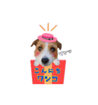 ♡♡おしゃま琳ちゃん♡♡part 2（個別スタンプ：27）