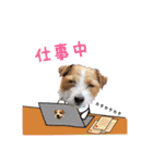 ♡♡おしゃま琳ちゃん♡♡part 2（個別スタンプ：34）