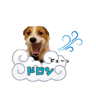 ♡♡おしゃま琳ちゃん♡♡part 2（個別スタンプ：39）