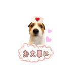 ♡♡おしゃま琳ちゃん♡♡part 2（個別スタンプ：40）