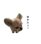 博多のあん①（個別スタンプ：4）