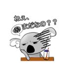 かれぼくコアラくん（個別スタンプ：16）