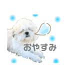 もこもこえんじぇる（個別スタンプ：1）