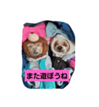 あいゆうみい（個別スタンプ：1）