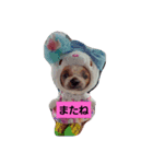 あいゆうみい（個別スタンプ：3）