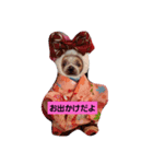 あいゆうみい（個別スタンプ：4）