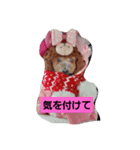 あいゆうみい（個別スタンプ：6）
