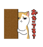 猫のだいずスタンプ（個別スタンプ：12）