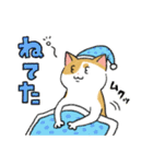 猫のだいずスタンプ（個別スタンプ：14）