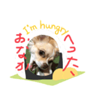 はるちゃん その六（個別スタンプ：2）