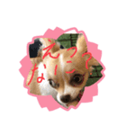 はるちゃん その六（個別スタンプ：3）