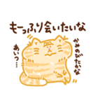 もふっとねこ（個別スタンプ：13）