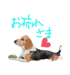 友達のルル（個別スタンプ：2）