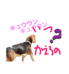 友達のルル（個別スタンプ：3）