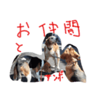 友達のルル（個別スタンプ：4）