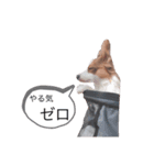 ルイるあ 2（個別スタンプ：5）