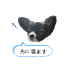 ルイるあ 2（個別スタンプ：6）