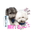 わんこの日常 ゆずみるく（個別スタンプ：14）